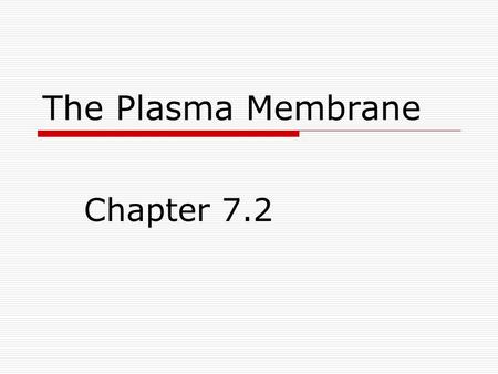 The Plasma Membrane Chapter 7.2. Maintaining a Balance  Cells need nutrients like glucose, amino acids, and lipids to function.  The plasma membrane.