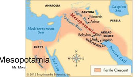 Mesopotamia Ms. Moran. River Valley Civilization Mesopotamia- Land between two rivers Tigris and Euphrates Silt.