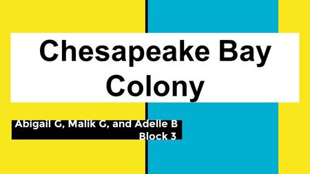 Chesapeake Bay Colony Abigail G, Malik G, and Adelle B Block 3.