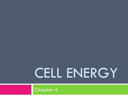 Cell Energy Chapter 4.