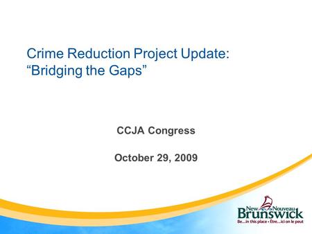 Crime Reduction Project Update: “Bridging the Gaps” CCJA Congress October 29, 2009.