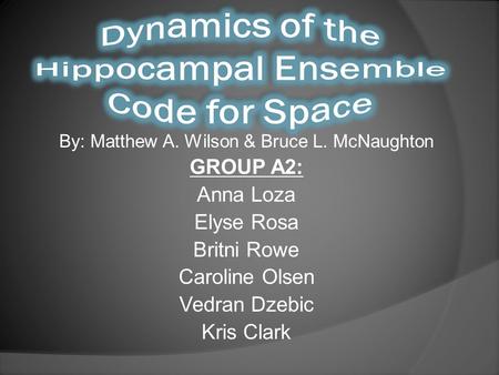 By: Matthew A. Wilson & Bruce L. McNaughton GROUP A2: Anna Loza Elyse Rosa Britni Rowe Caroline Olsen Vedran Dzebic Kris Clark.