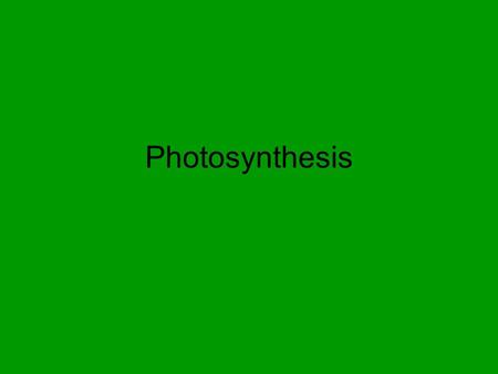 Photosynthesis.