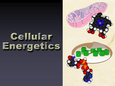 Energy All organisms require energy to grow, reproduce, move and carry out maintenance and repairs. Energy can not be created or destroyed, but it can.