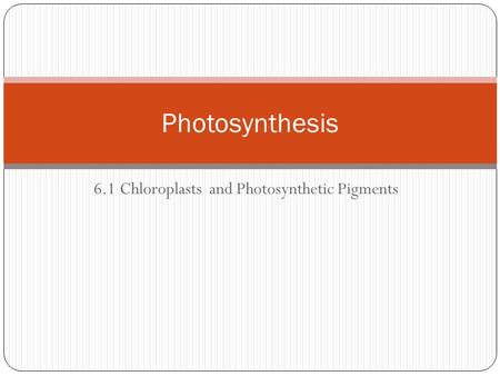 6.1 Chloroplasts and Photosynthetic Pigments Photosynthesis.