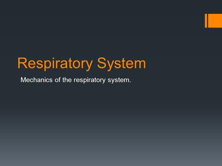 Respiratory System Mechanics of the respiratory system.