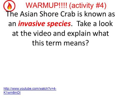 The Asian Shore Crab is known as an invasive species. Take a look at the video and explain what this term means? WARMUP!!!! (activity #4)