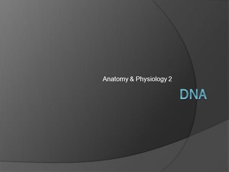 Anatomy & Physiology 2. The DNA Molecule  DNA is what makes genes  DNA stands for deoxyribonucleic acid  It is a molecule that makes up genes and determines.