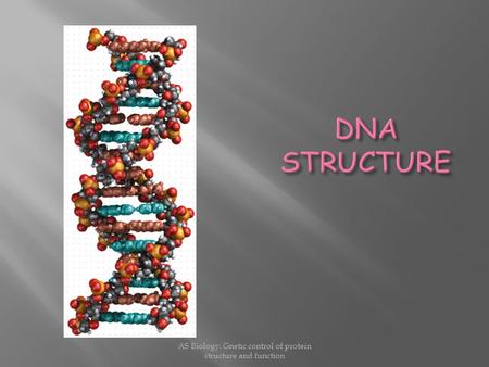 AS Biology. Gnetic control of protein structure and function.