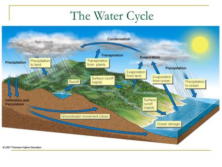 The Water Cycle. Some Soil Properties Soils vary in the size of the particles they contain, the amount of space between these particles, and how rapidly.