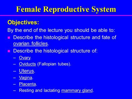 Female Reproductive System Objectives: By the end of the lecture you should be able to: Describe the histological structure and fate of ovarian follicles.