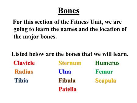 Bones For this section of the Fitness Unit, we are going to learn the names and the location of the major bones. Listed below are the bones that we will.