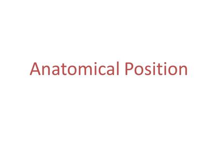 Anatomical Position. Feet together, forward & slightly turned out Eyes forward and horizontal with the top of the ears Arms at side - no bones crossed.