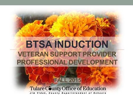 BTSA INDUCTION VETERAN SUPPORT PROVIDER PROFESSIONAL DEVELOPMENT FALL 2015.