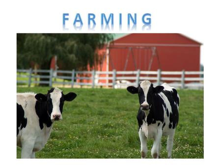 The practice of cultivating the land or raising livestock In a healthy farming system, agriculture works with the natural environment. This begins with.