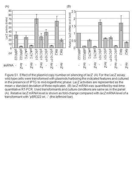 Figure S1. Effect of the plasmid copy number on silencing of lacZ. (A) For the LacZ assay, wild-type cells were transformed with plasmids harboring the.