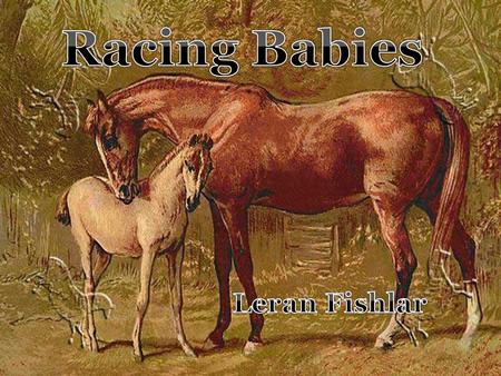 Objective To discuss thoroughbred horse racing in New Zealand today. To outline the musculoskeletal growth of young horses. To investigate the ethical.