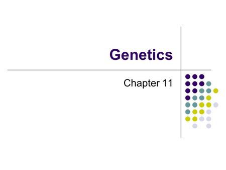 Genetics Chapter 11. Basic Terms Trait – an inheritable physical characteristic May be internal or external Ex: Eye color, hair color, blood type, personality.