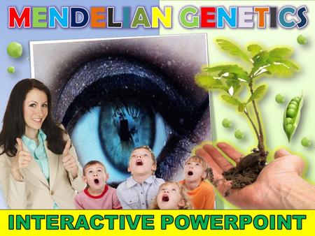 A. Gregor Mendel was born in 1822 in Austria. Growing up on his family’s farm he had a lot of practice cultivating ____________ and _________ __________.