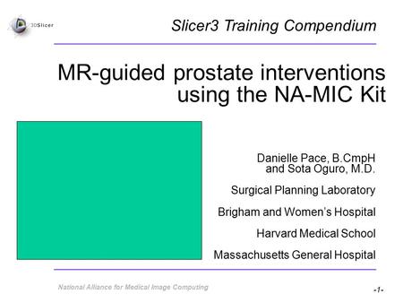 -1- National Alliance for Medical Image Computing MR-guided prostate interventions using the NA-MIC Kit Danielle Pace, B.CmpH and Sota Oguro, M.D. Surgical.