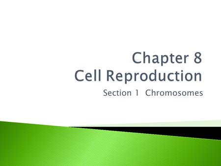 Chapter 8 Cell Reproduction