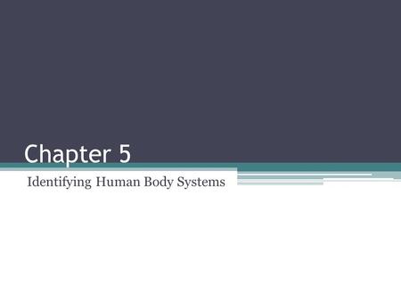 Chapter 5 Identifying Human Body Systems. The Skeletal and Muscular System.