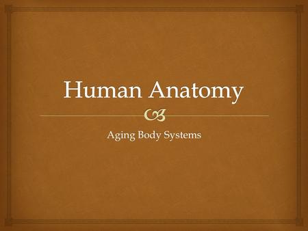 Aging Body Systems.   Oil & sweat glands decrease  Circulation to skin decrease  Nails become brittle  Fatty tissue decrease  Sensitive to temp.