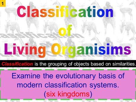 Examine the evolutionary basis of modern classification systems. (six kingdoms) 1 Classification is the grouping of objects based on similarities.