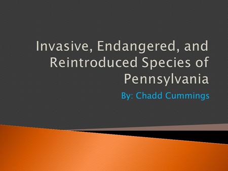 By: Chadd Cummings.  Definition: A species whose numbers are so small that the species is at risk of extinction 5 Most Common Reasons for Endangerment.