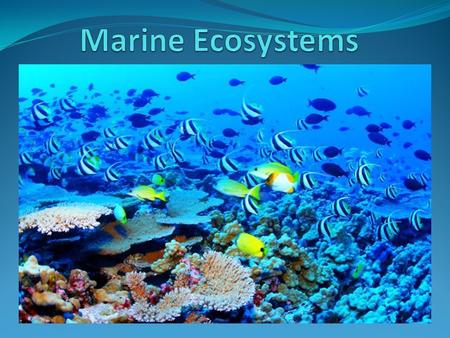 Marine Ecosystems.