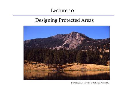 Designing Protected Areas