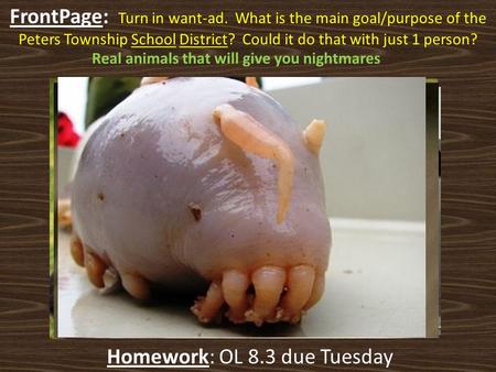 Homework: Study for the Chapter 7 Test Homework: OL 8.3 due Tuesday FrontPage: Turn in want-ad. What is the main goal/purpose of the Peters Township School.