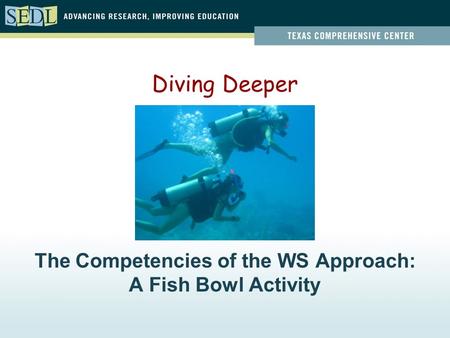 The Competencies of the WS Approach: A Fish Bowl Activity Diving Deeper.