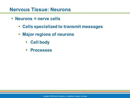 Copyright © 2009 Pearson Education, Inc., publishing as Benjamin Cummings Nervous Tissue: Neurons  Neurons = nerve cells  Cells specialized to transmit.