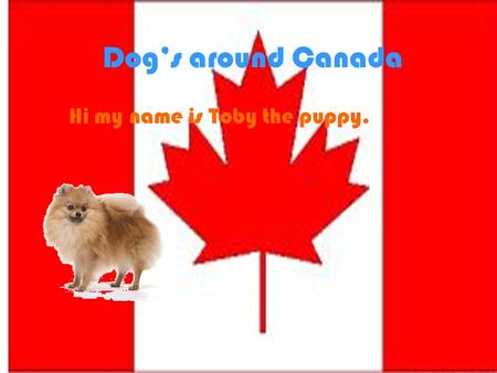 Dog’s around Canada Hi my name is Toby the puppy..