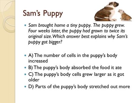 Sam’s Puppy Sam brought home a tiny puppy. The puppy grew. Four weeks later, the puppy had grown to twice its original size. Which answer best explains.