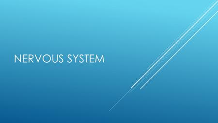 NERVOUS SYSTEM.  Functions: 1. Receives information about what is happening inside & outside of the body. 2. Directs the way your body responds to this.