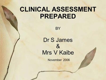 CLINICAL ASSESSMENT PREPARED BY Dr S James & Mrs V Kaibe November 2006.