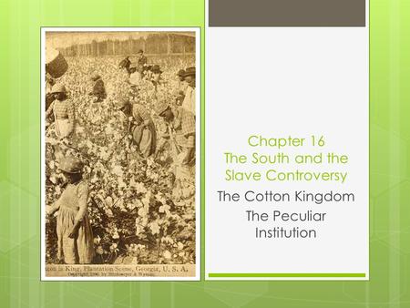 Chapter 16 The South and the Slave Controversy