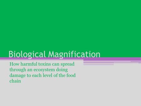 Biological Magnification How harmful toxins can spread through an ecosystem doing damage to each level of the food chain.