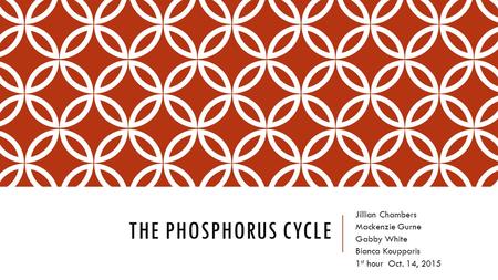 THE PHOSPHORUS CYCLE Jillian Chambers Mackenzie Gurne Gabby White Bianca Koupparis 1 st hour Oct. 14, 2015.