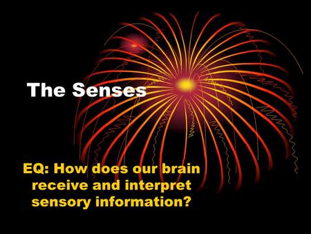 The Senses EQ: How does our brain receive and interpret sensory information?