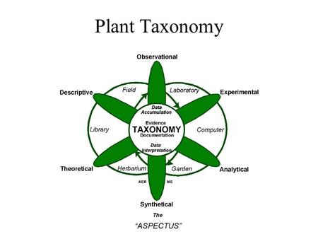 Plant Taxonomy.