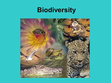 Biodiversity.