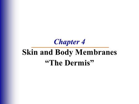 Chapter 4 Skin and Body Membranes “The Dermis”. Dermis Two layers 1. Papillary layer  Projections called dermal papillae  Pain receptors  Capillary.