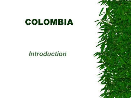 COLOMBIA Introduction. Geography  Regions –Andes –Atlantic Coast –Pacific Coast –Jungle (Leticia Corridor)