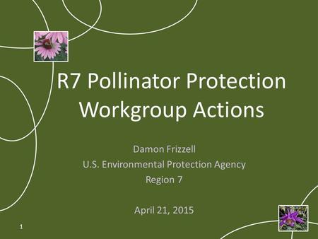 R7 Pollinator Protection Workgroup Actions Damon Frizzell U.S. Environmental Protection Agency Region 7 April 21, 2015 1.