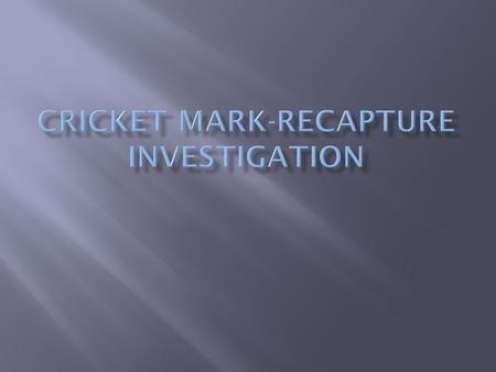 Cricket Mark-Recapture Investigation