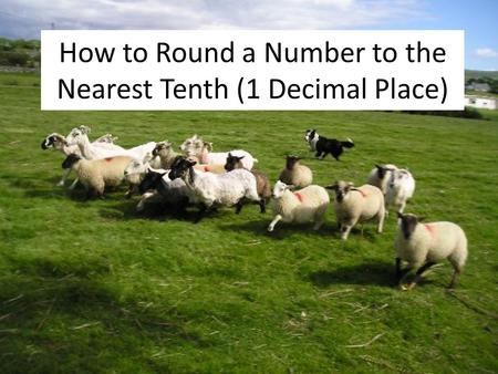 How to Round a Number to the Nearest Tenth (1 Decimal Place)