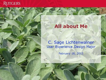 All about Me C. Sage Lichtenwalner User Experience Design Major February 16, 2015.